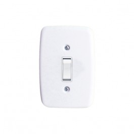 Interruptor 1 Tecla Paralela 2x4 com Placa Branca Pluzie
