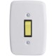 Interruptor 1 Tecla Paralela 2x4 com Placa Cinza Pluzie